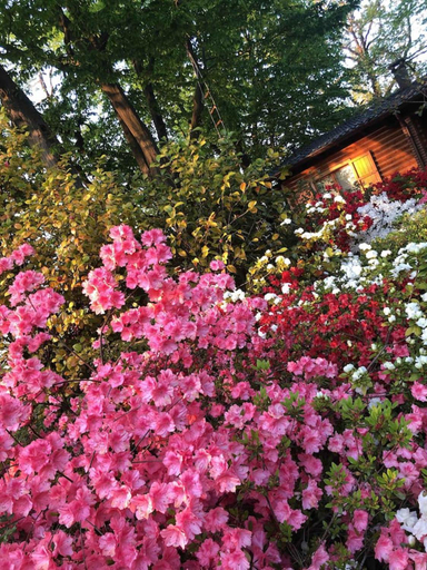 Others 2, Cozy Chalet in Castell'Arquato 90 m² with Private Pool, Piacenza