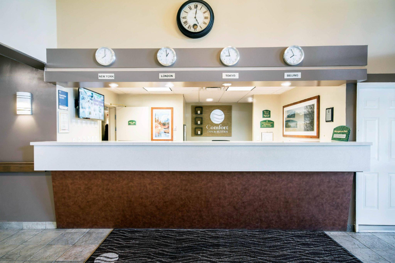 Public Area 2, Comfort Inn & Suites Langley, Greater Vancouver