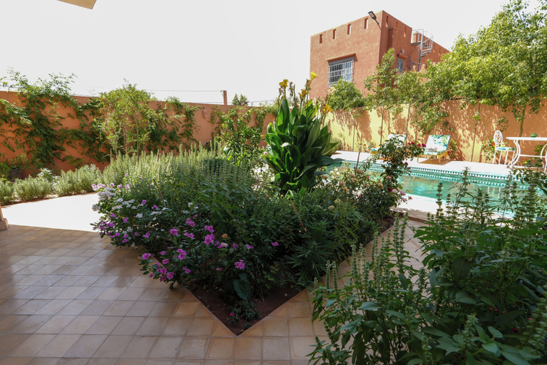 Pool 5, Atlas Peak Blue, Al Haouz