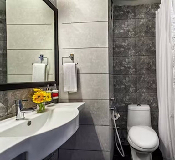 Bathroom, Collection O Guru Nanak Dev Tashi, Amritsar
