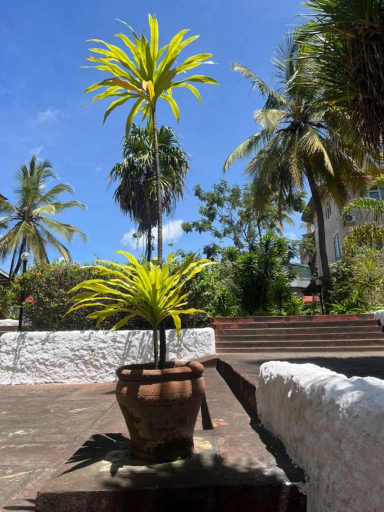 Others 3, La Piazetta Residence, Malindi