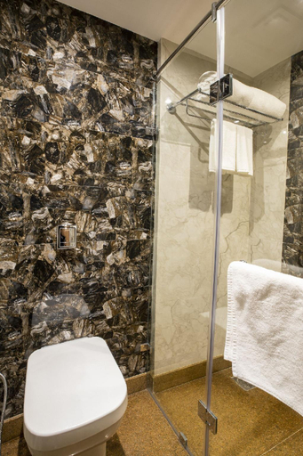 Bathroom 4, Regenta Central Cassia Zirakpur Chandigarh, Sahibzada Ajit Singh Nagar