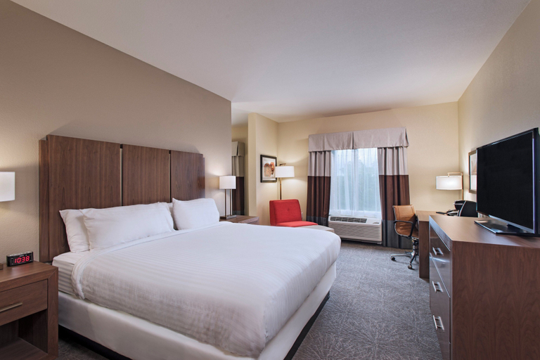 Bedroom 4, Holiday Inn Express & Suites AUSTIN NW - FOUR POINTS by IHG, Travis