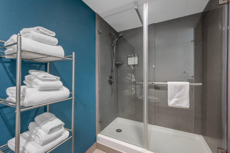 Bathroom 4, The Great Rivers, an Ascend Collection Hotel, Madison