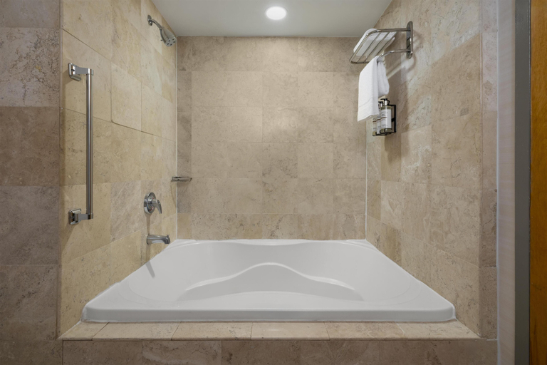 Bathroom 4, Best Western Premier Plainview-Long Island Hotel, Nassau