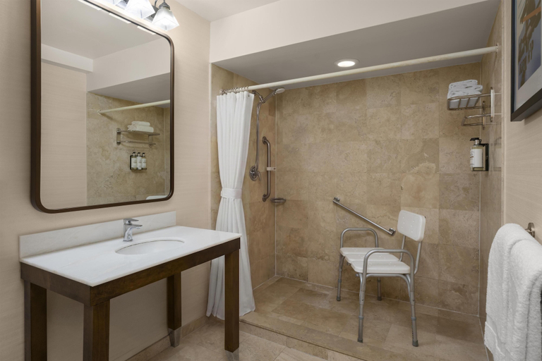 Bathroom 4, Best Western Premier Plainview-Long Island Hotel, Nassau