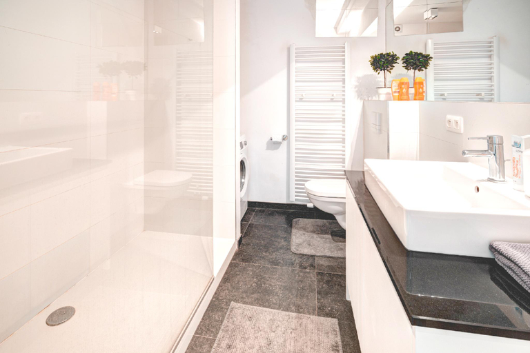 Bathroom 4, 9-persons apartment in Antwerp, Antwerpen
