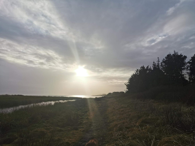 Others 5, 6 Person Holiday Home in Hadsund, Mariagerfjord