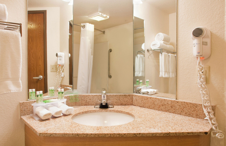 Bathroom 5, Holiday Inn Express & Suites BRANSON 76 CENTRAL by IHG, Taney