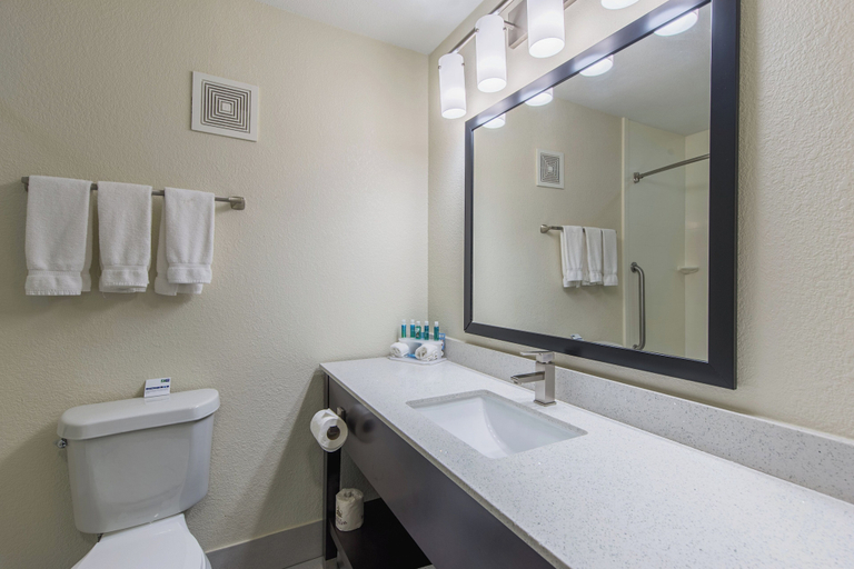 Bathroom 5, Holiday Inn Express DANDRIDGE by IHG, Jefferson
