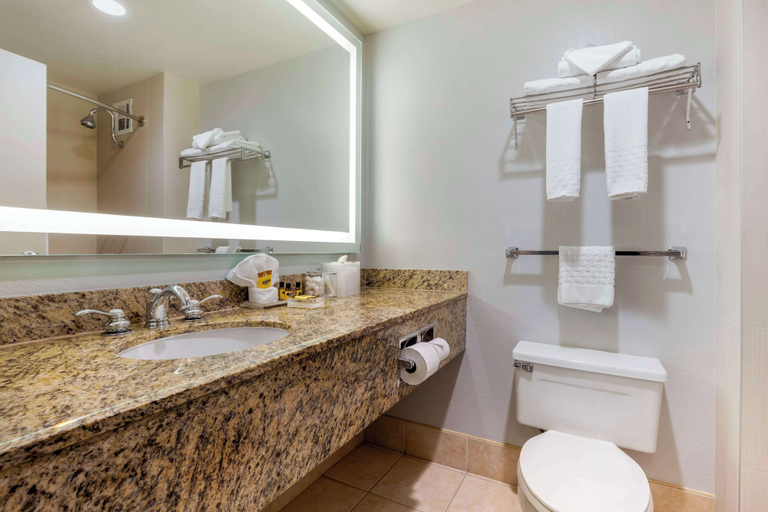 Bathroom 4, Best Western Plus Bayside Inn, San Diego