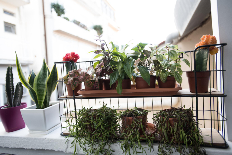 Others 4, The Blue apartment in the heart of Heraklion, Crete