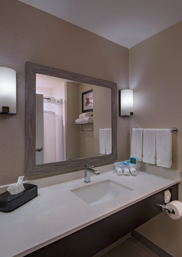 Bathroom 5, Holiday Inn Express & Suites AUSTIN NW - FOUR POINTS by IHG, Travis