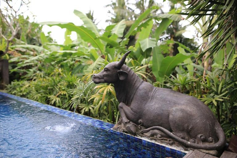 Sport & Beauty 2, Vesloni Deluxe Villa with Private Pool  #P28 , Gianyar