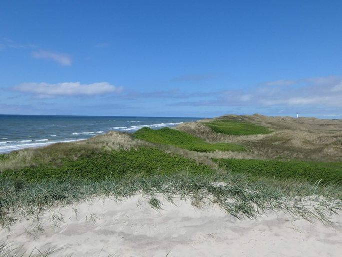Water view 3, 5 Star Holiday Home in Ringkobing, Ringkøbing-Skjern