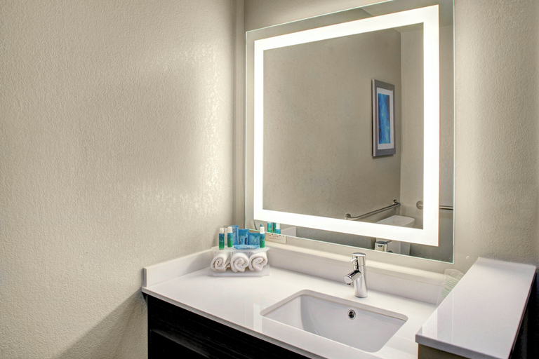 Bathroom 4, Holiday Inn Express & Suites COLDWATER by IHG, Branch