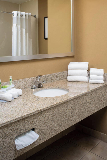 Bathroom 4, Holiday Inn Express CLERMONT by IHG, Lake