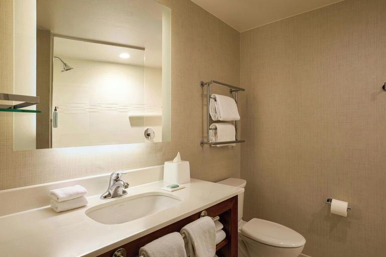 Bathroom 4, Residence Inn by Marriott Breckenridge, Summit