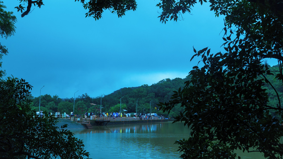 View from property 3, Shalimar in the Forest, Raigarh
