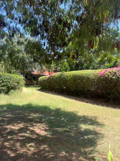 Others 4, La Piazetta Residence, Malindi