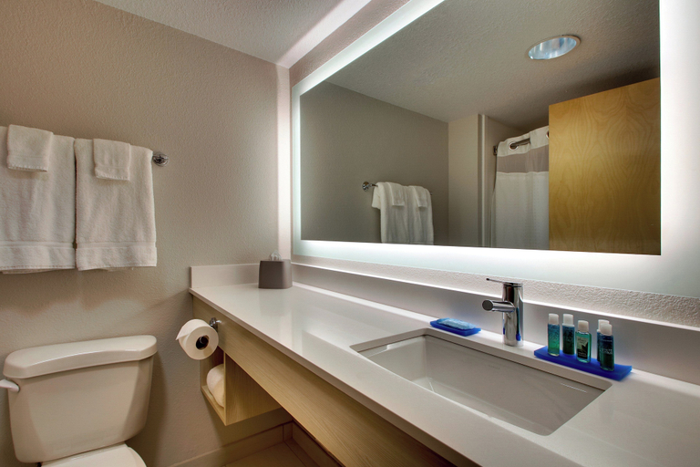 Bathroom 5, Holiday Inn Express & Suites CEDAR RAPIDS-I-380 @ 33RD AVE by IHG, Linn
