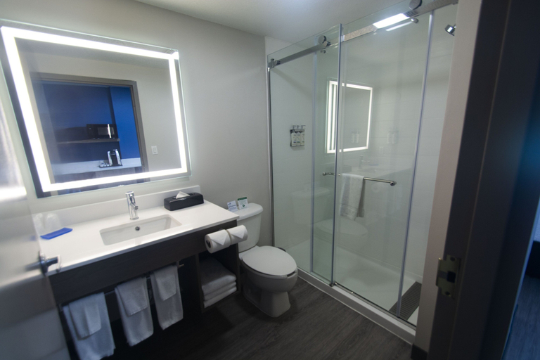 Bathroom 4, Holiday Inn Express & Suites COCOA by IHG, Brevard