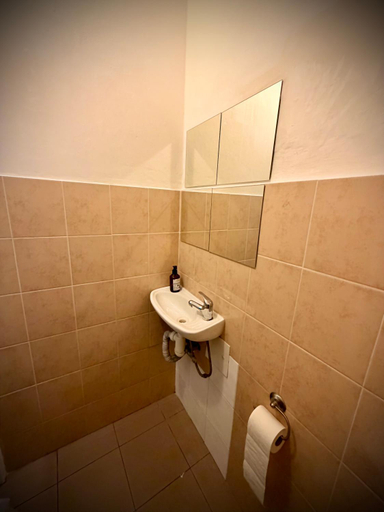 Bathroom 3, Charles apartment, Praha 1