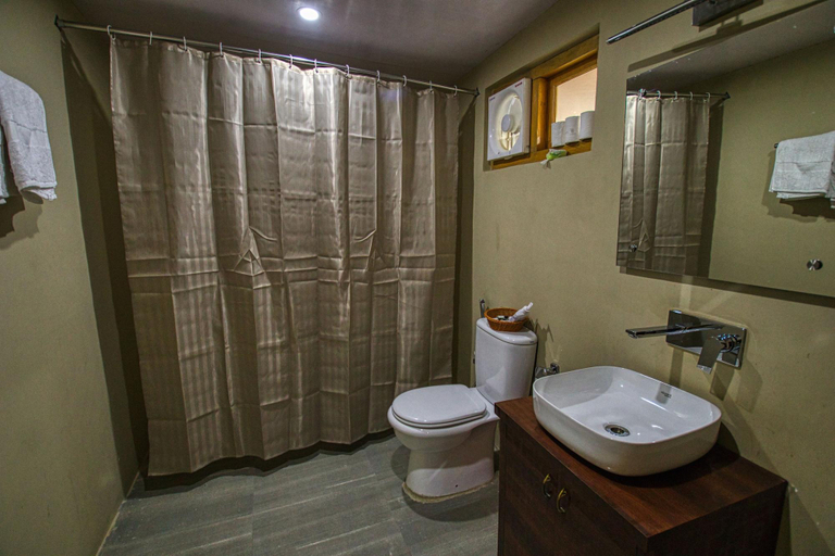 Bathroom 4, Chalet Seabuckthorn, Leh