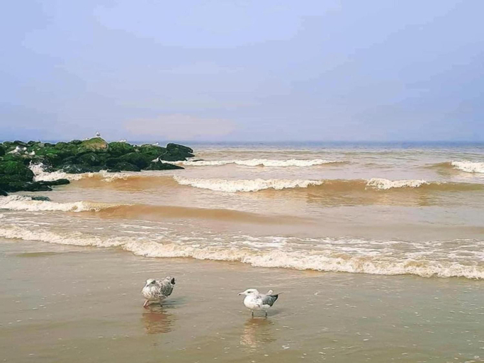 Others 4, Relaxing Coastal Escape, West-Vlaanderen