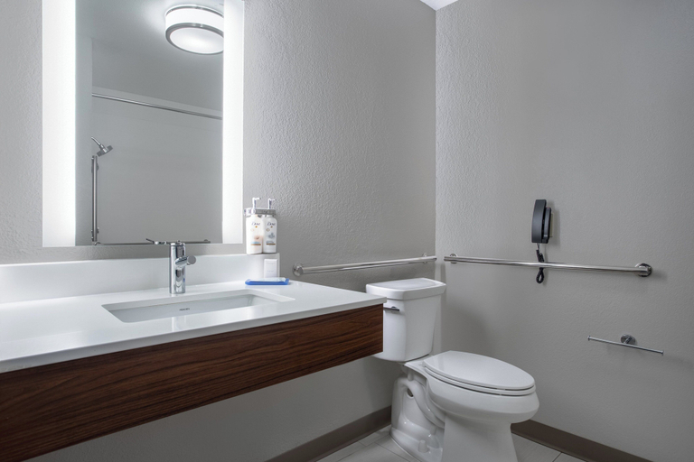 Bathroom 5, Holiday Inn Express & Suites CLINTON by IHG, Clinton