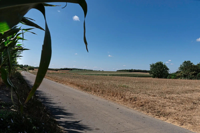 View from property 2, Duplex stay at the Alfonsine Farm, Limburg