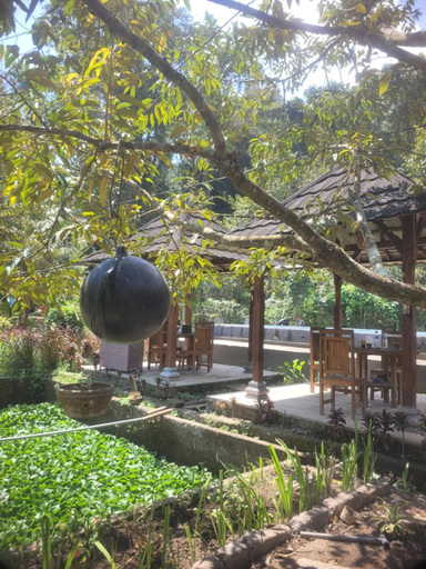 Food & Drinks, Sriwedari Lodge, Buleleng