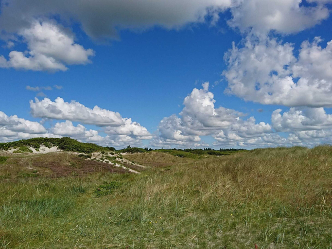 Others 5, 4 Star Holiday Home in Hals, Aalborg