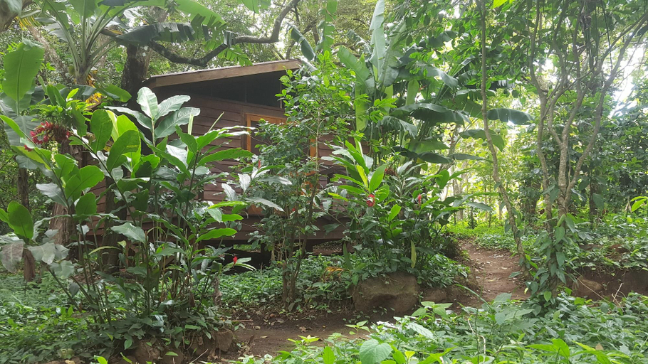 Public Area, Mombacho Lodge, Granada