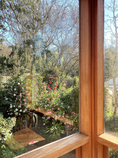Surrounding environment, Adelaide Hills Camellia Cottage + Wifi, Adelaide