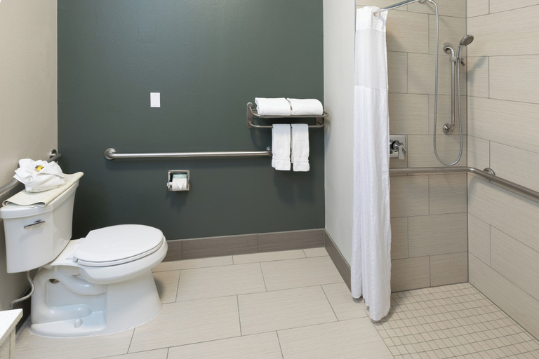 Bathroom 4, Best Western Plus Duncanville/Dallas, Dallas