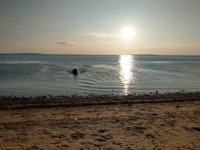 Water view 3, 7 Person Holiday Home in Logstor, Vesthimmerland