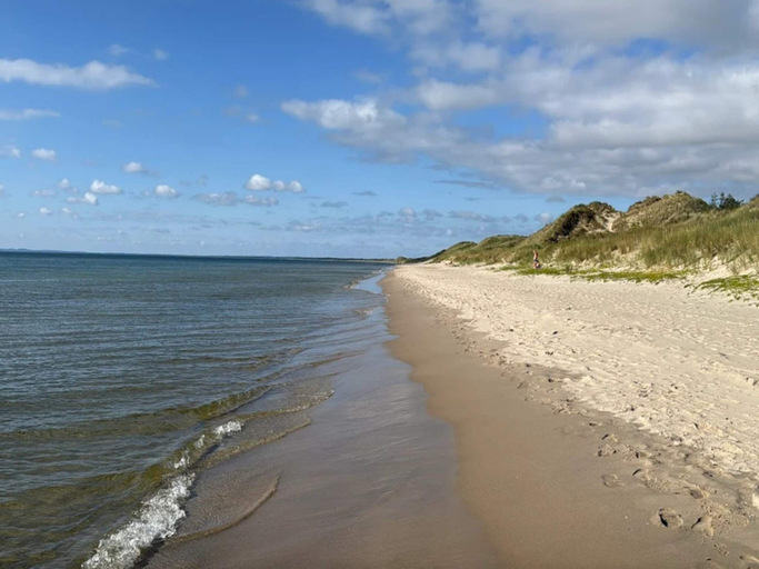 Others 3, 5 Star Holiday Home in Albaek, Frederikshavn
