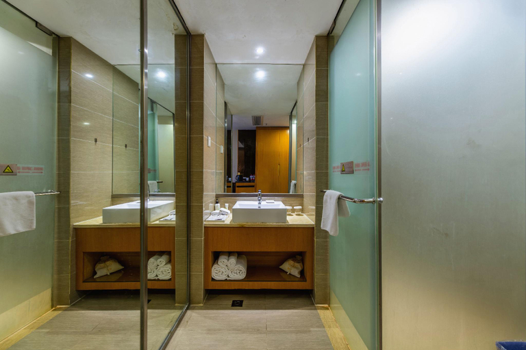 Bathroom 3, Jinjiang Metropolo Nanchang Honggutan Wanda Plaza, Nanchang