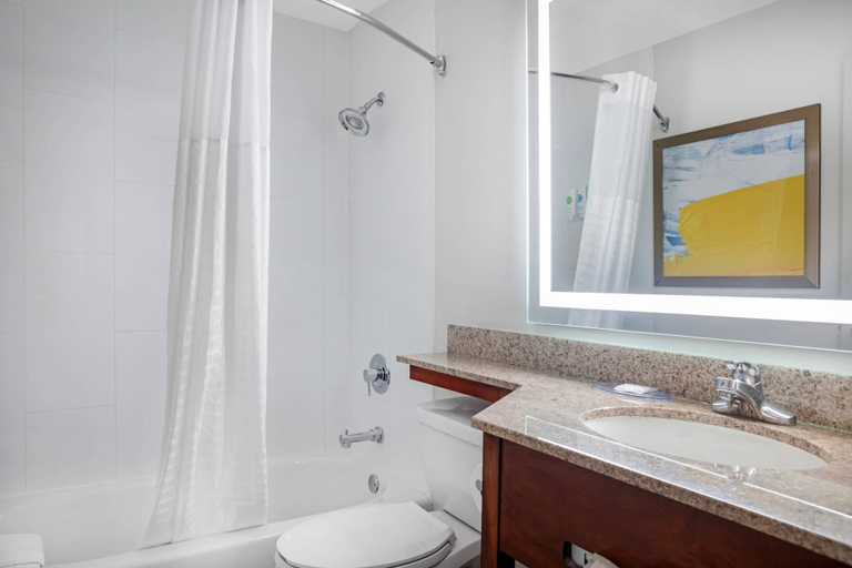 Bathroom 4, Comfort Inn Nashville West, Davidson
