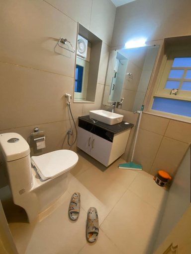 Bathroom 5, The Red Fox B&B, Kargil