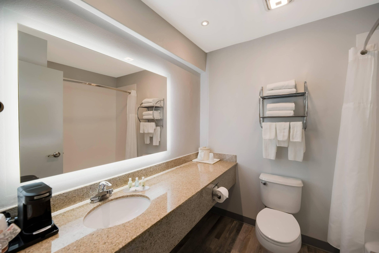 Bathroom 4, Quality Inn & Suites Artesia, Eddy