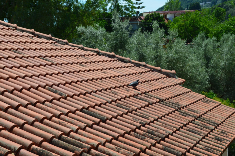 Others 5, Odysseia Apartments, Ionian Islands