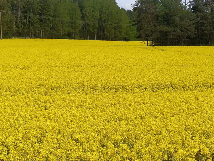 Others 3, 4 Person Holiday Home in Torshalla-by Traum, Eskilstuna