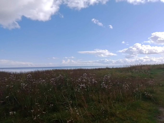 Miscellaneous 5, 4 Star Holiday Home in Hadsund, Mariagerfjord