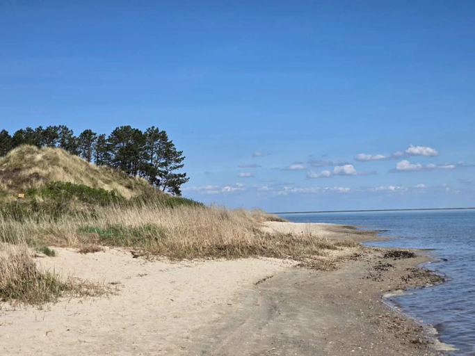 Others 3, 8 Person Holiday Home in Romo, Tønder