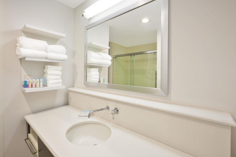 Bathroom 3, Hampton Inn by Hilton Detroit Dearborn, Wayne