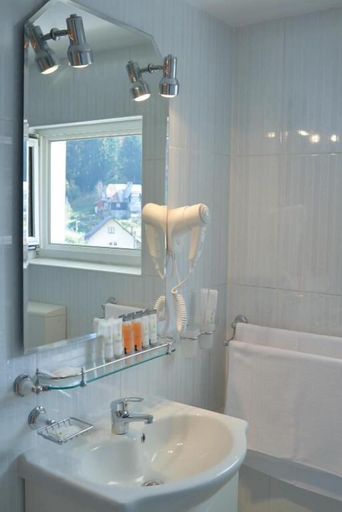 Bathroom 3, Alimar, Predeal
