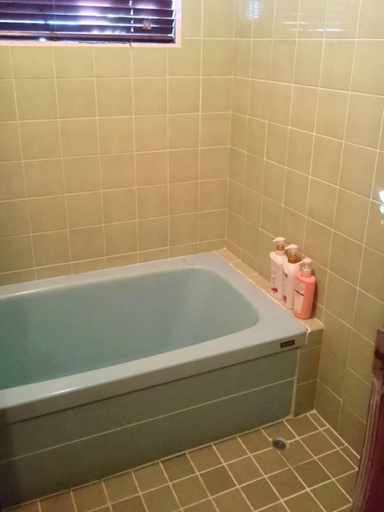 Bathroom 3, Private Beach House, Motobu