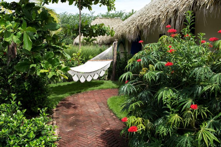 Public Area, Malibu Popoyo, Tola